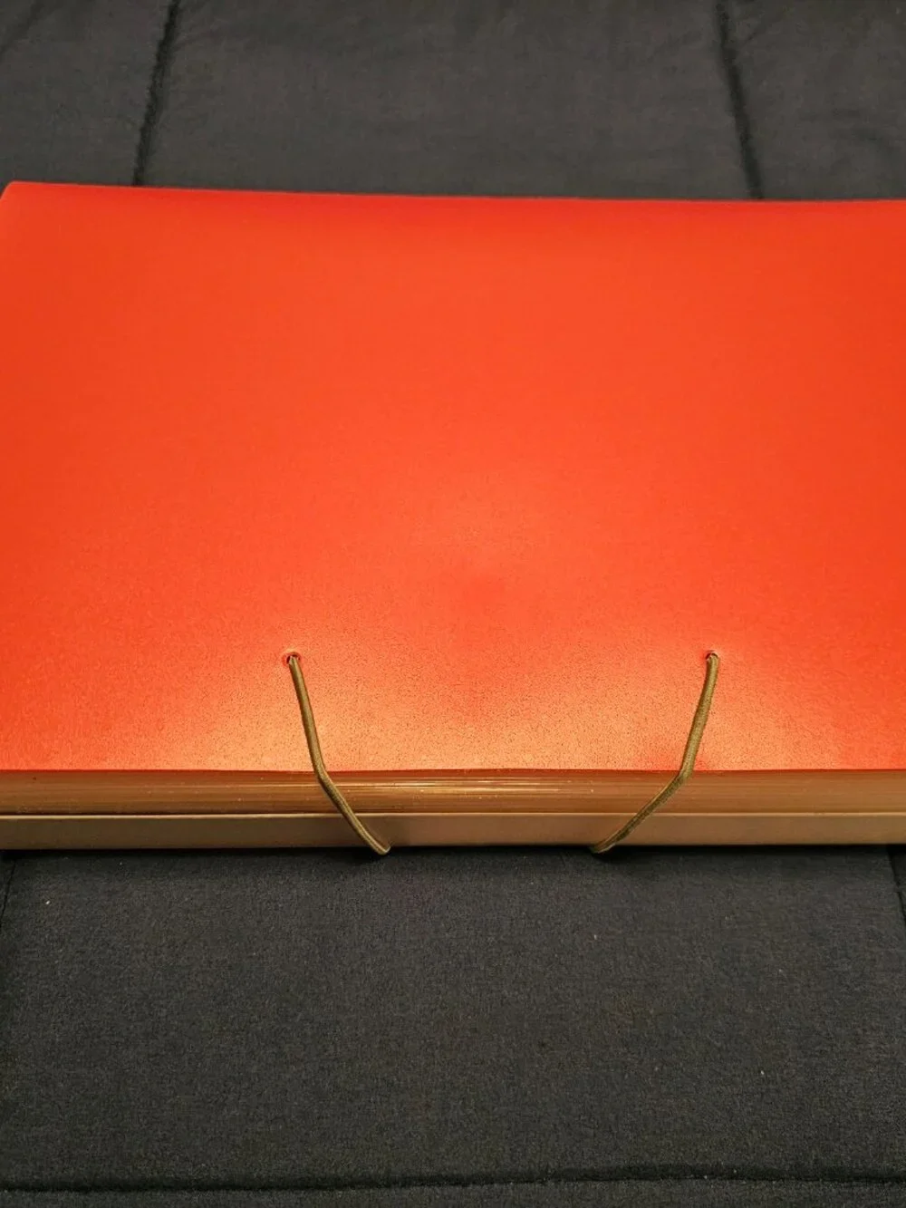13 pocket file 1